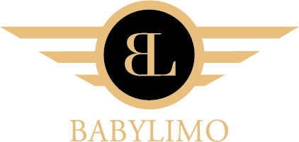 BL COM logo