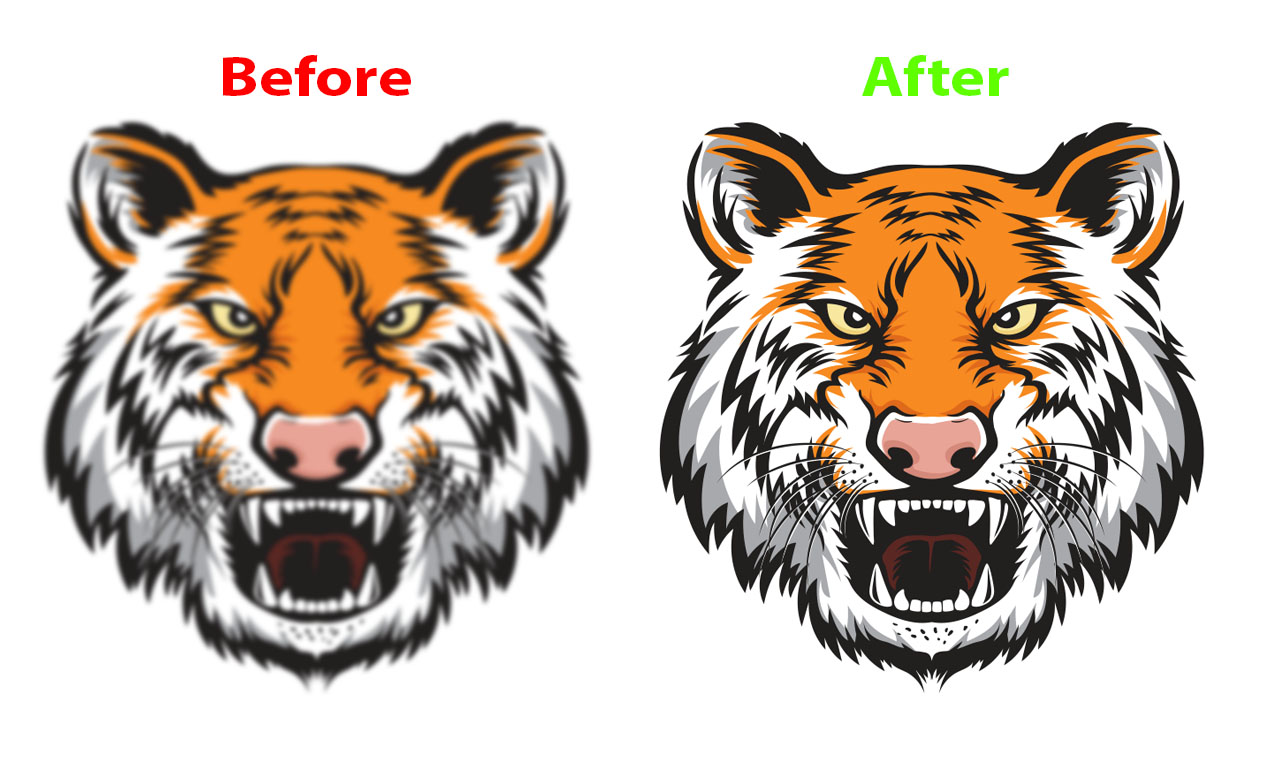 I do manual vector tracing or high quality pictures
