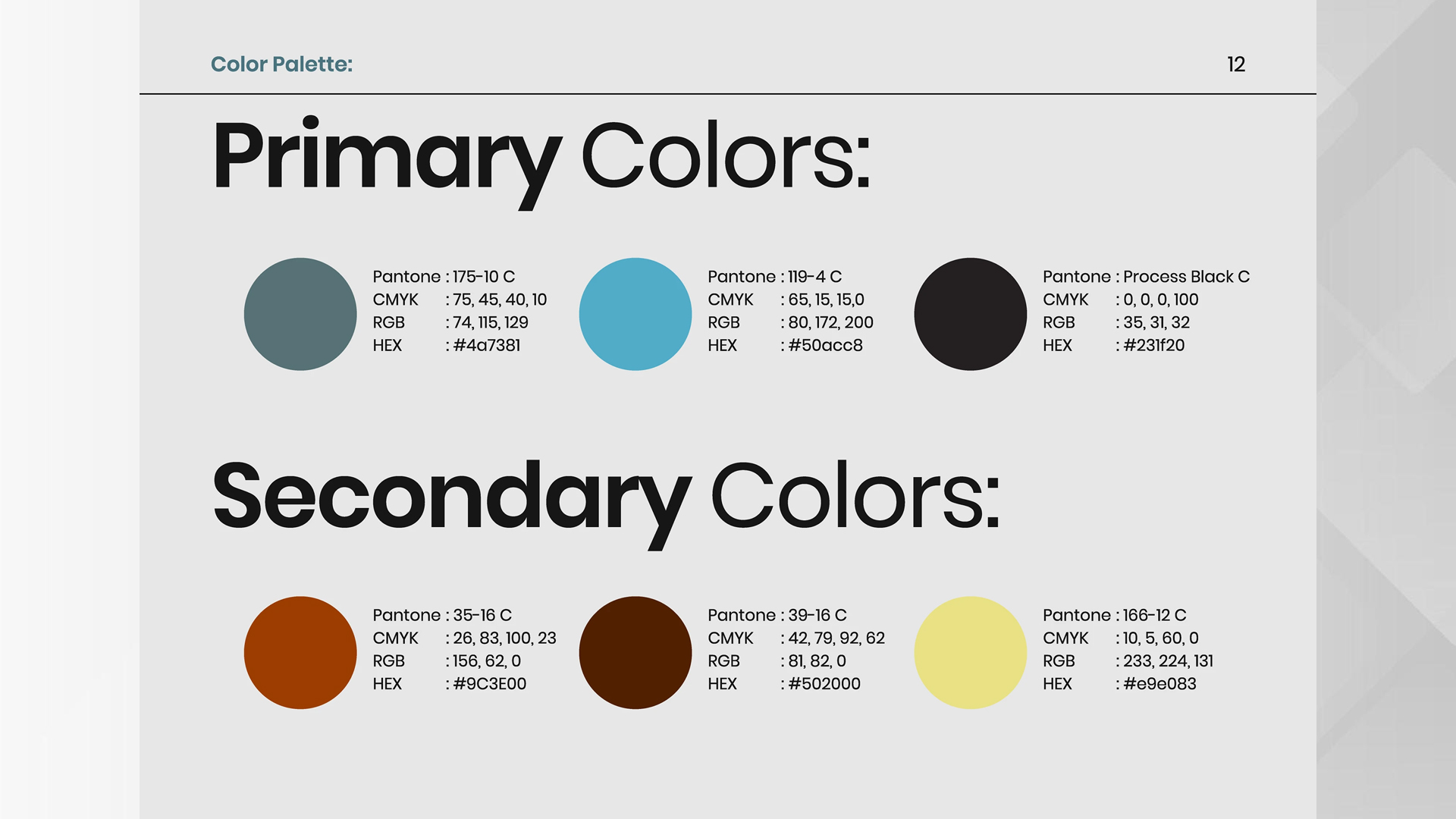 I will design a professional brand identity guideline for your business